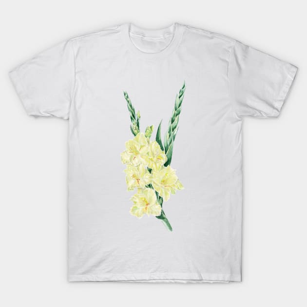 Gladiolus T-Shirt by feafox92